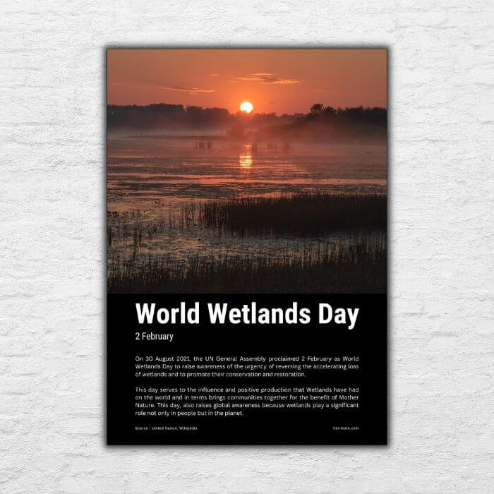 Printable Poster - World Day in February - World Wetlands Day 20240517